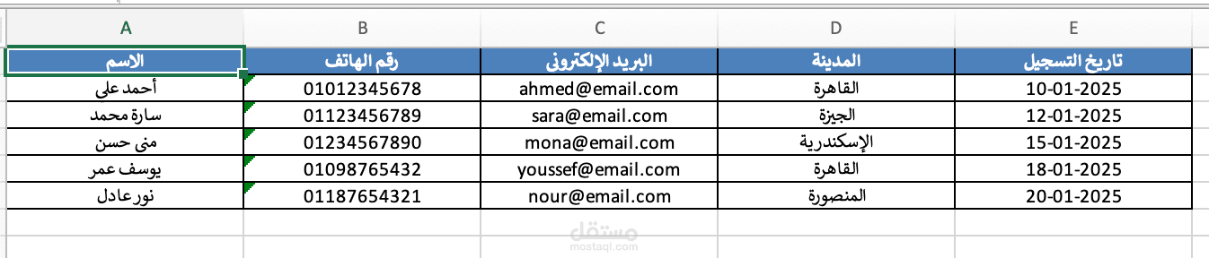 بيانات عملاء – منسق باحتراف