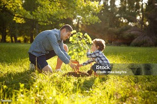 How to Raise Your Child