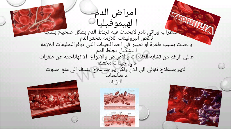 محاضره تثقيفيه بعنوان امراض الدم