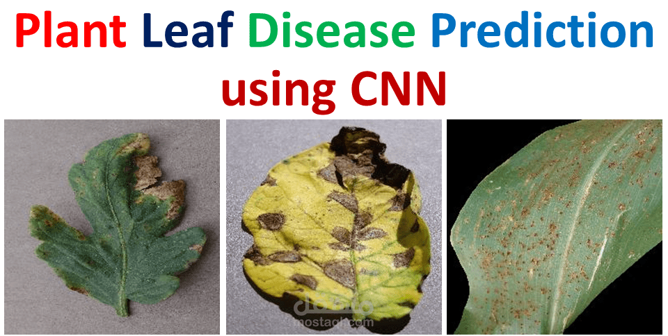 الكشف عن أمراض أوراق النبات باستخدام التعلم العميق  CNN
