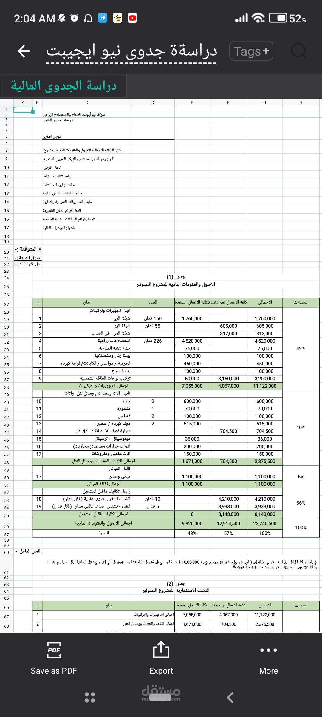 دراسة جدوى مالية نيو ايجيبت