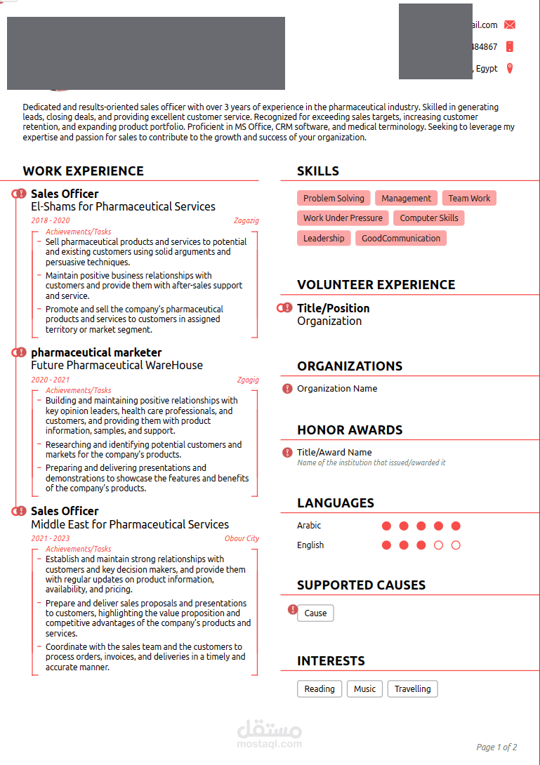Professional Resume