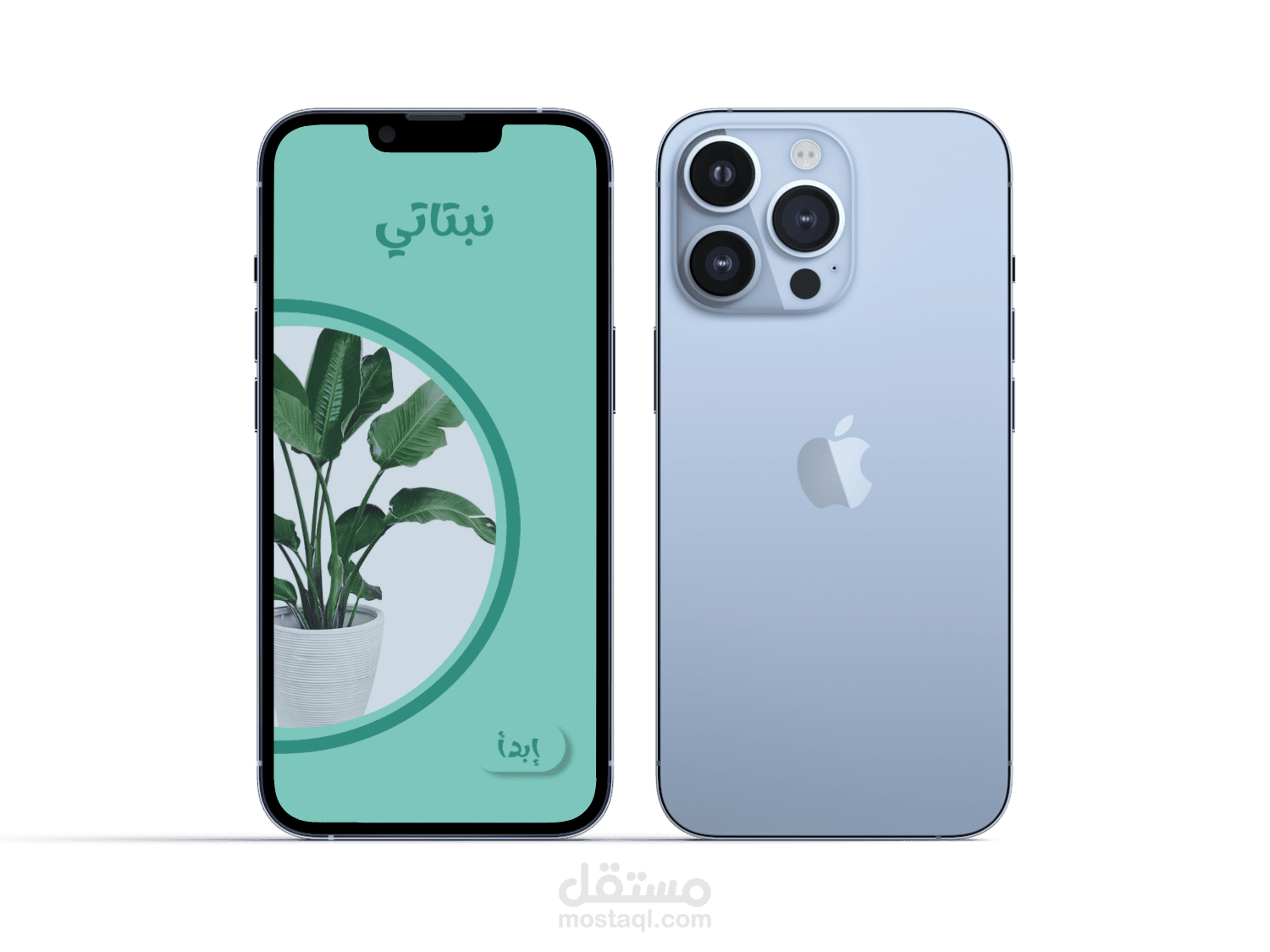 تصميم تطبيق نباتات