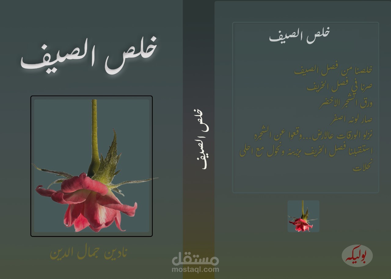 غلاف كتاب خلص الصيف