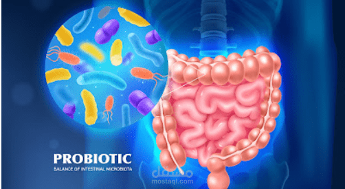 Helicobacter pylori (H. pylori)