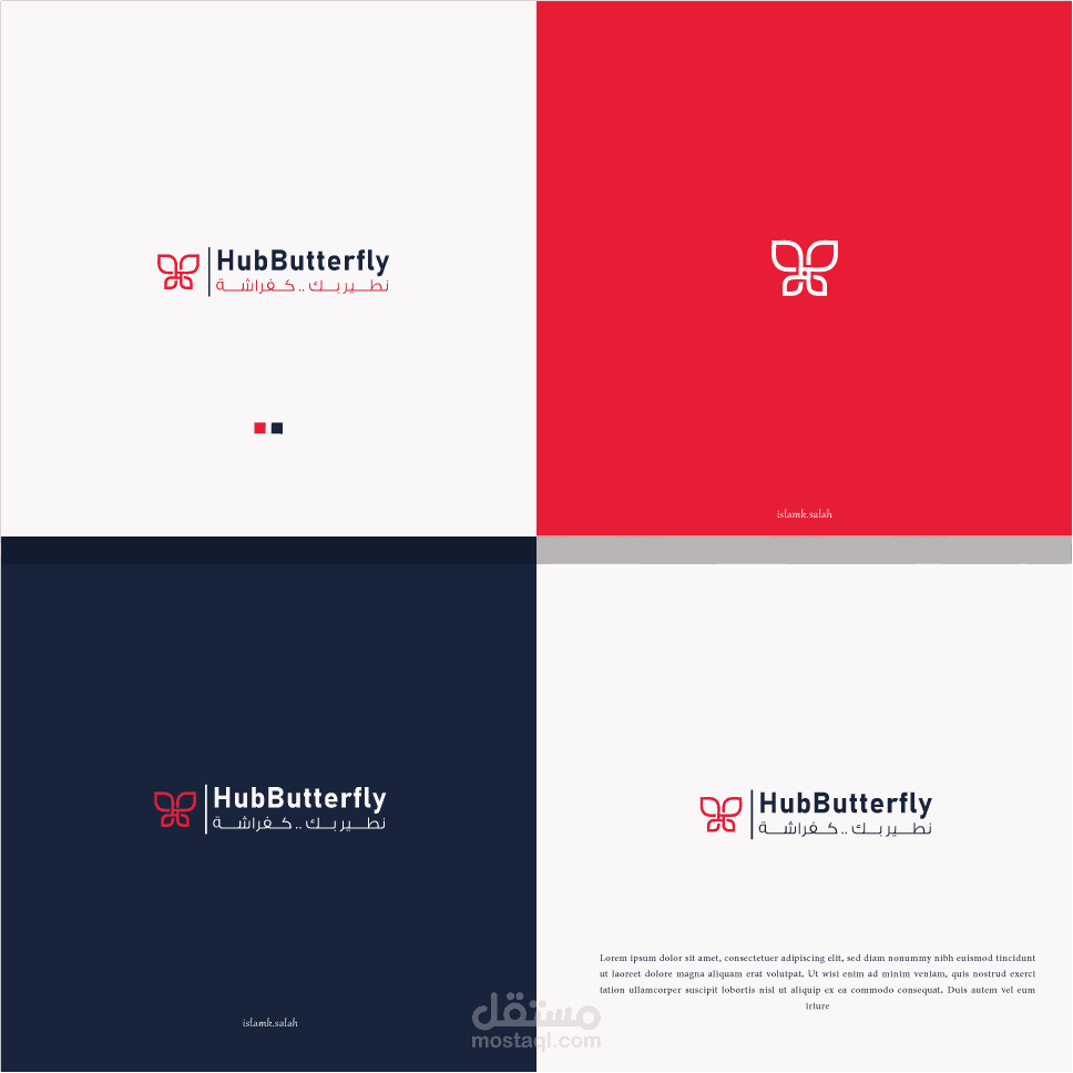 شركة HubButterfly