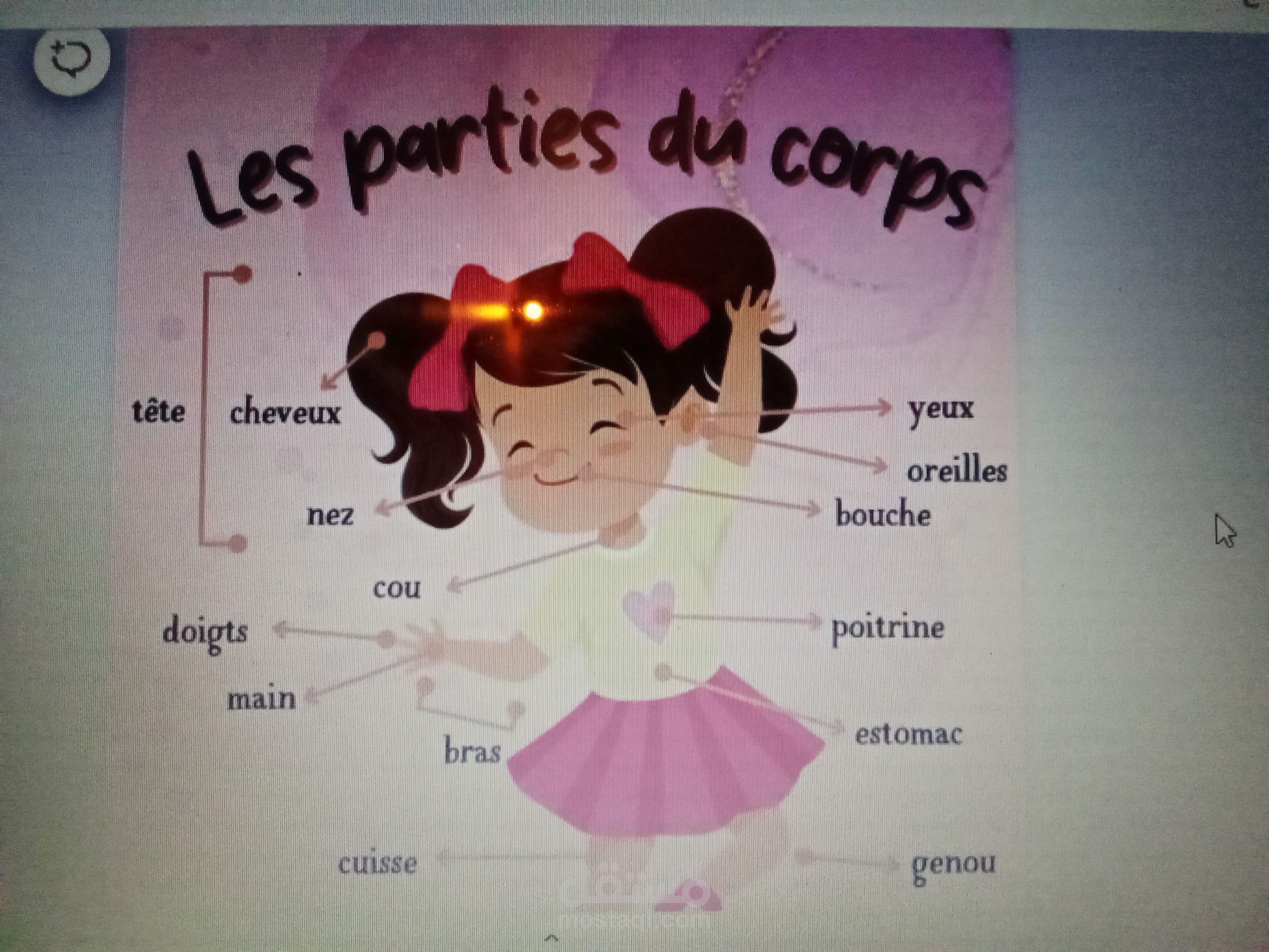 Les parties du corps