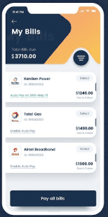 flutter payment app