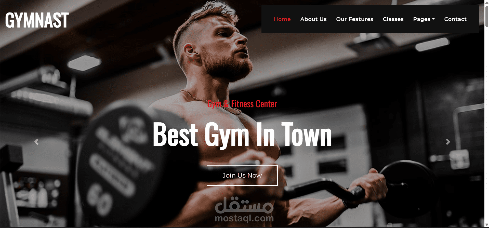 Gymnast Gym