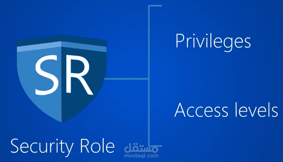 Microsoft Dynamic 365 security roles