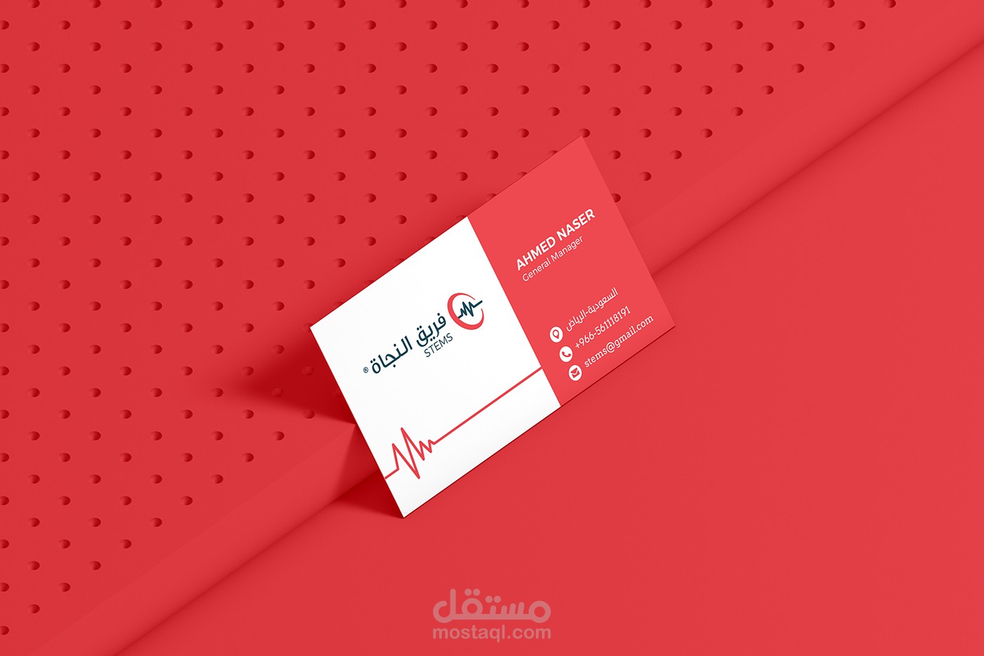 STEMS Branding Design