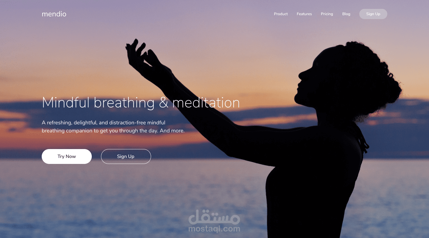 صفحات هبوط
