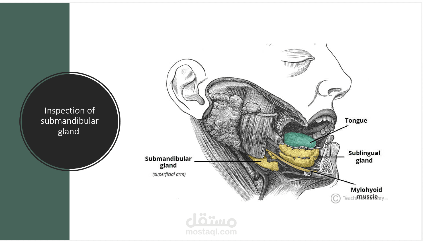 power point about salivary gland