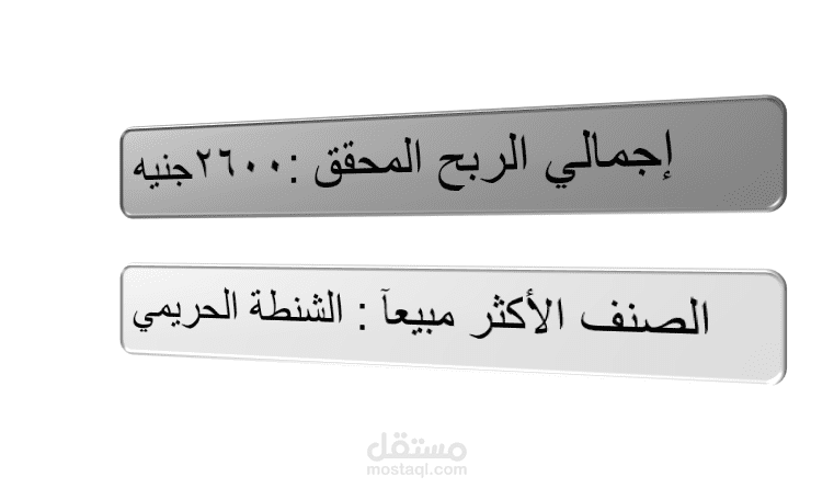 تحليل الأداء المالي وعرض مبيعات متجر ملابس وجلد