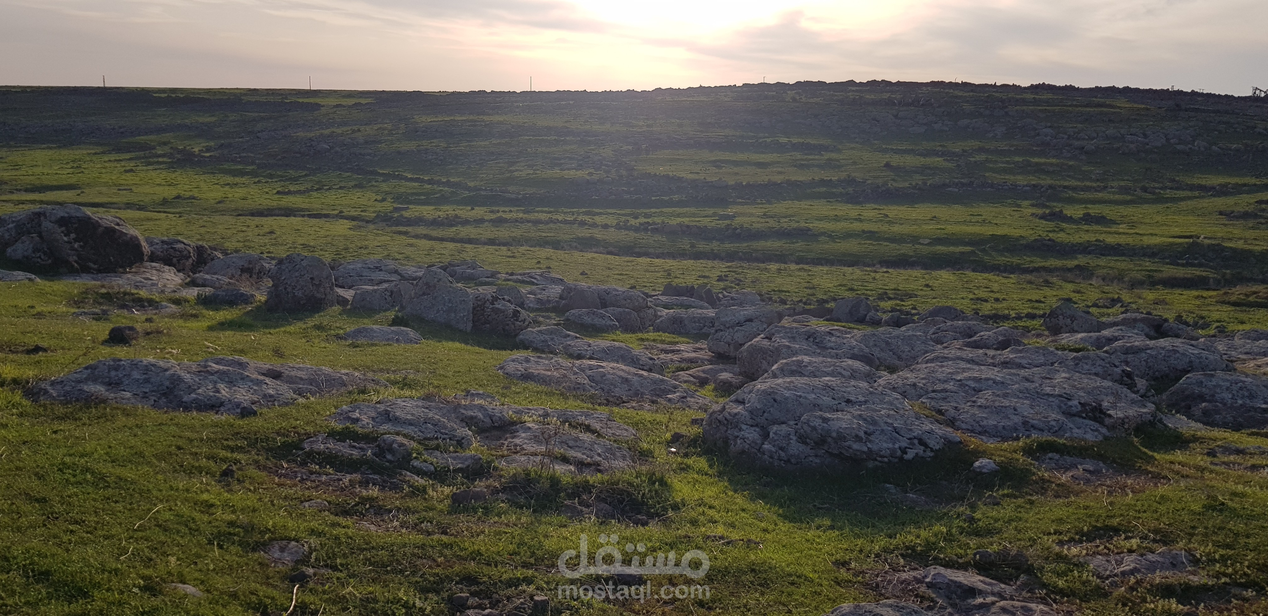 التقاط صور وفيديوهات للطبيعة