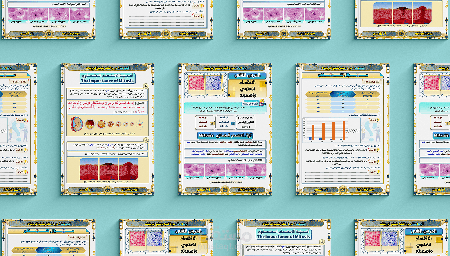 تصميم وتنسيق كتب و مذكرات و ملازم تعليمية بإحترافية