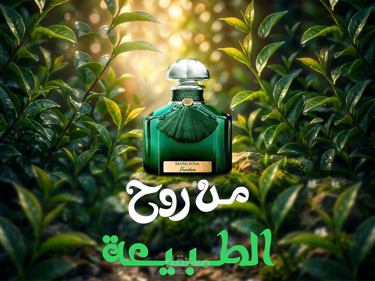 Photo Manipulation Poster
