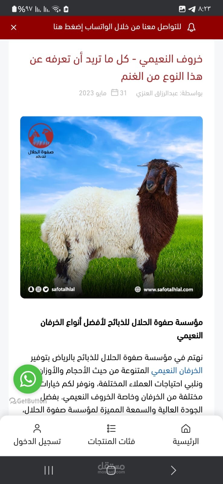 خروف النعيمي - كل ما تريد أن تعرفه عن هذا النوع من الغنم