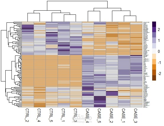 RNA seq visualization by heatmap عرض بيانات لإنشاء خرائط حرارية