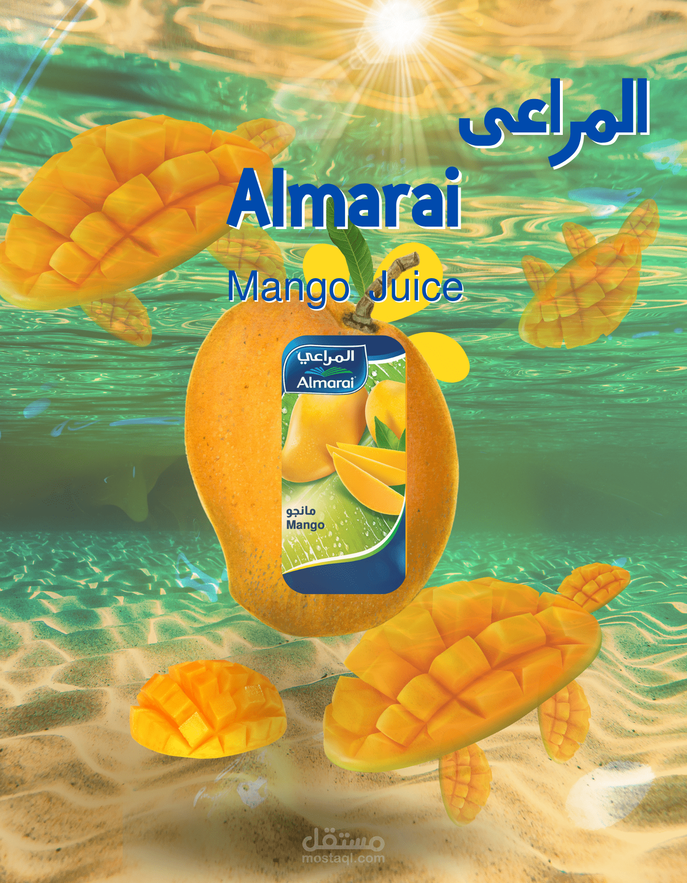 سوشيال ميديا