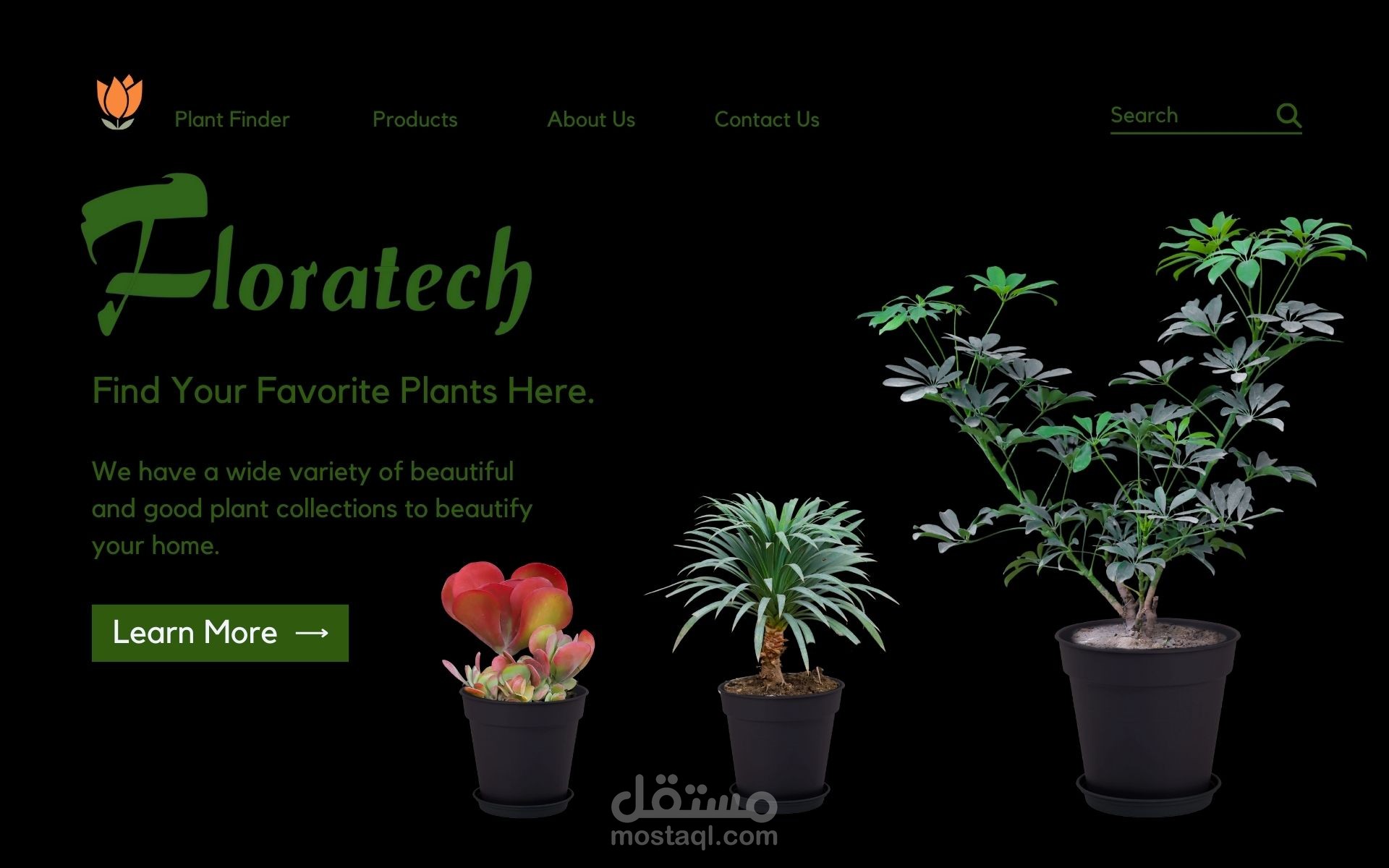 تصميم واجه موقع لشركة انتاج نباتي.