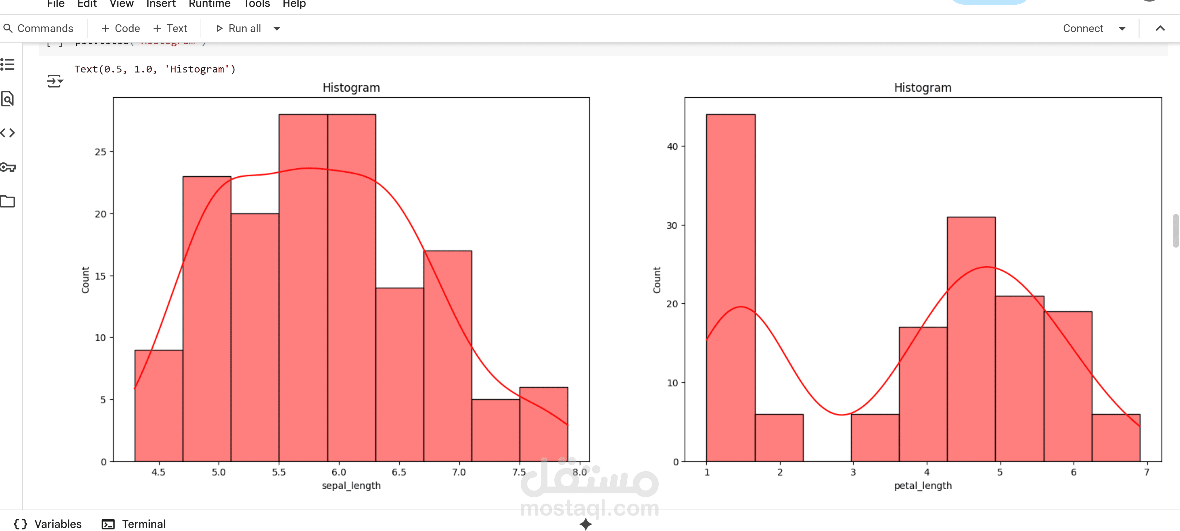 تصنيف أنواع زهرة Iris