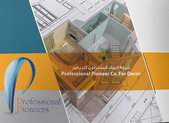 Professional Pioneer