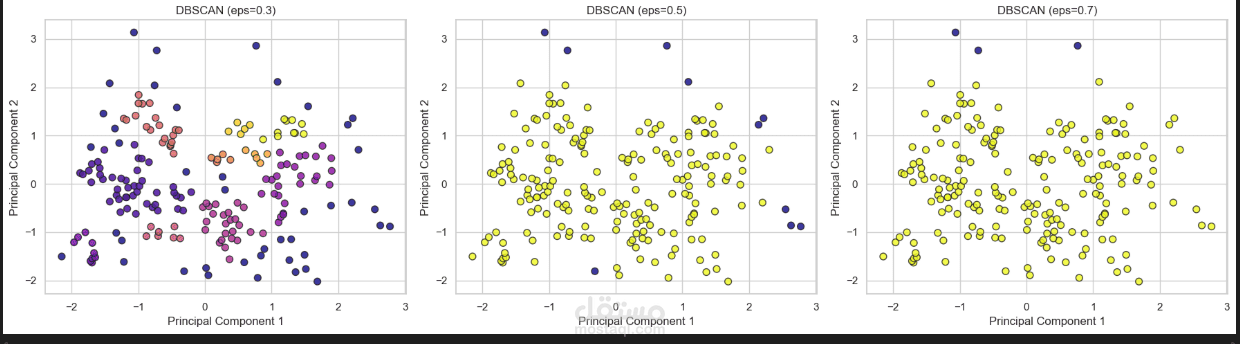 Customer Segmentation Analysis using K-Means and DBSCAN