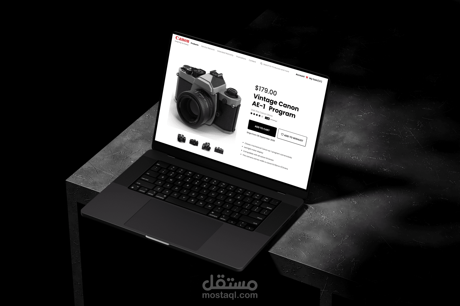 Responsive Product Showcase