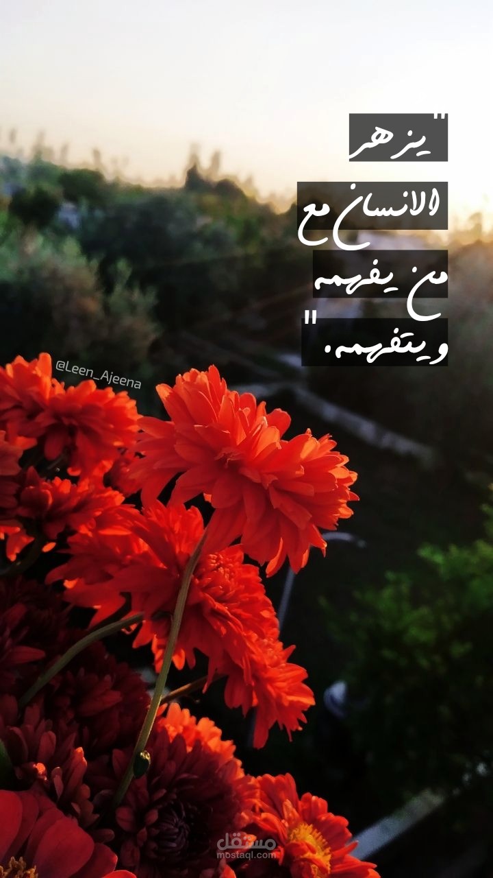 تصوير وتصميم