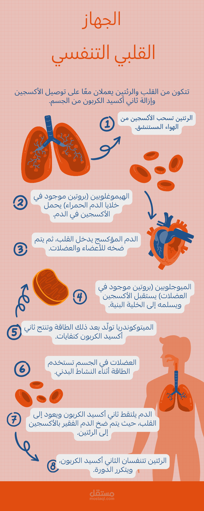 ترجمه نصيه