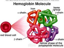 Hemoglobin Device Permits