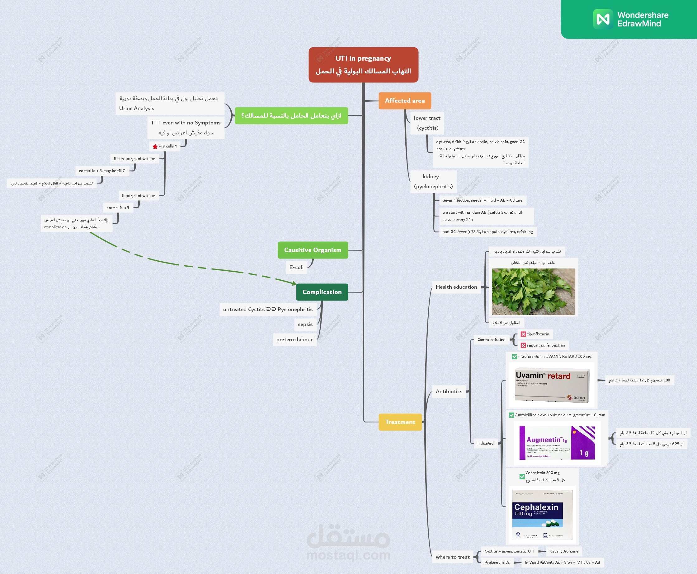مجموعة فيديوهات بطريقة ال mind map لمحتوي طبي