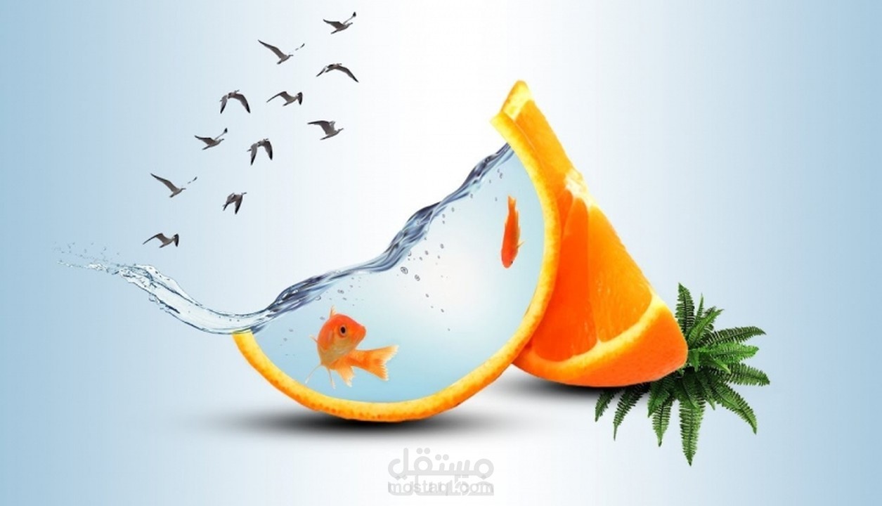 نريد الحياة ولكن بطريقتنا الخاصة