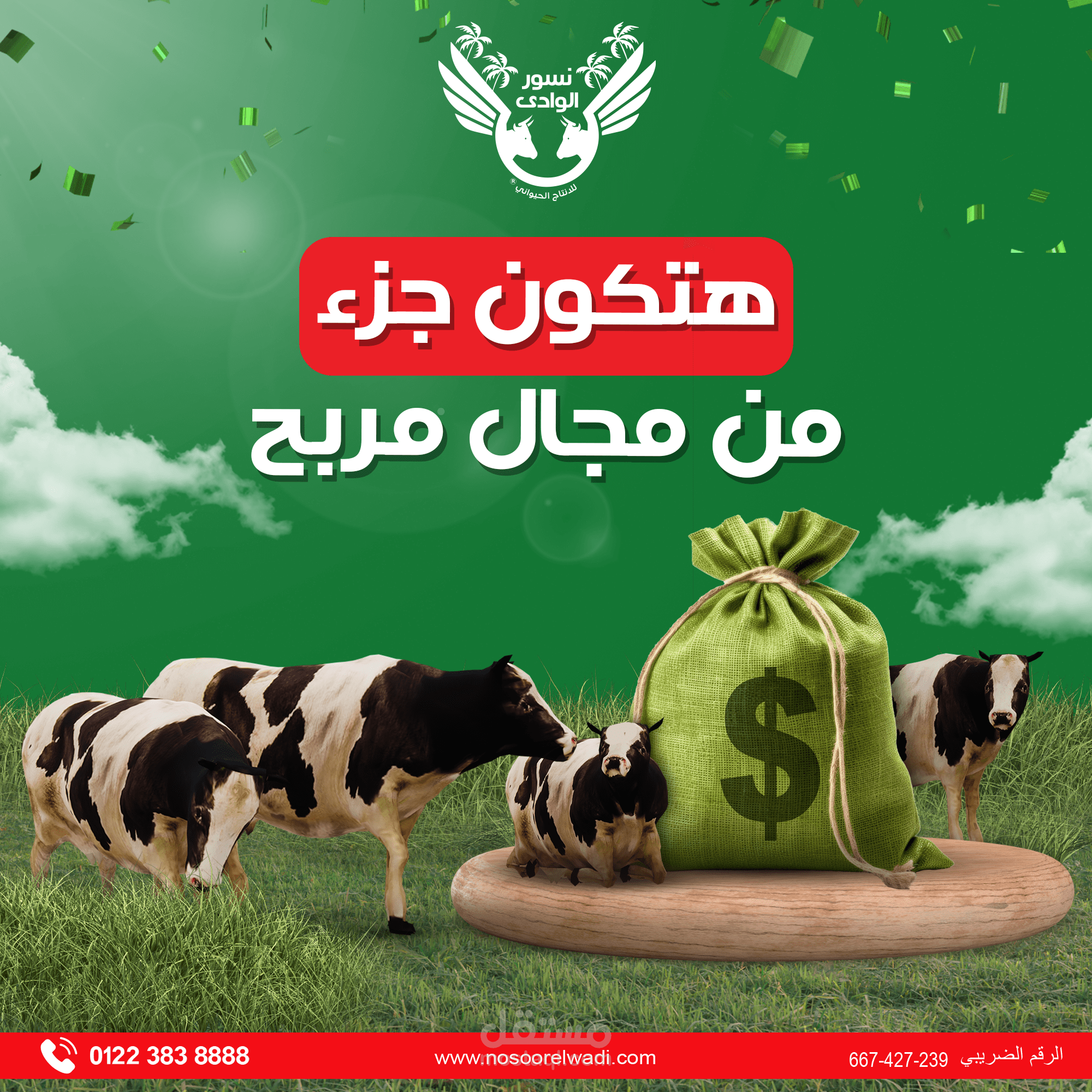 الاستثمار فى المواشى