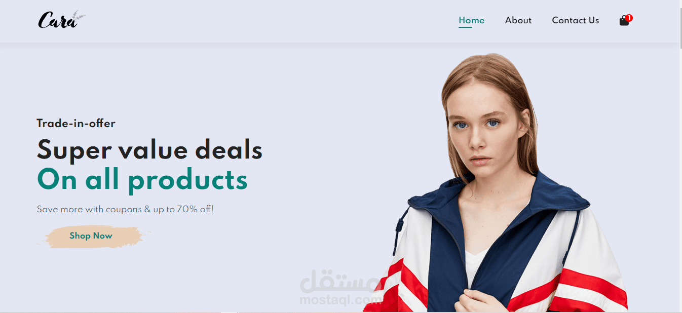 Full Responsive Ecommerce Website