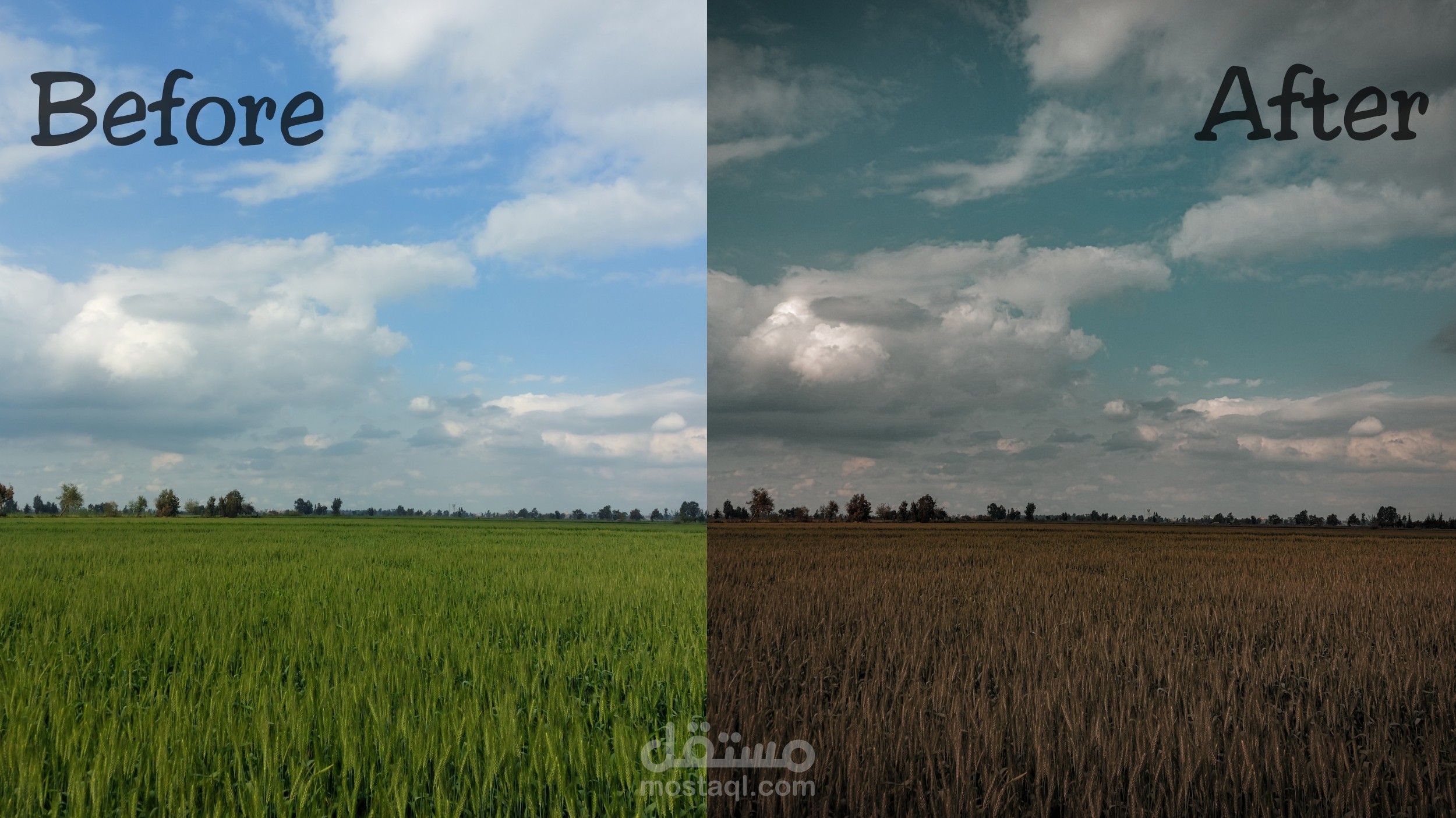 تعديل صورة بشكل احترافى