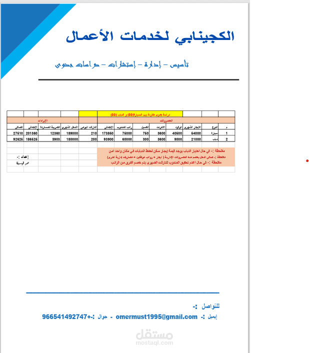 دراسة جدوى
