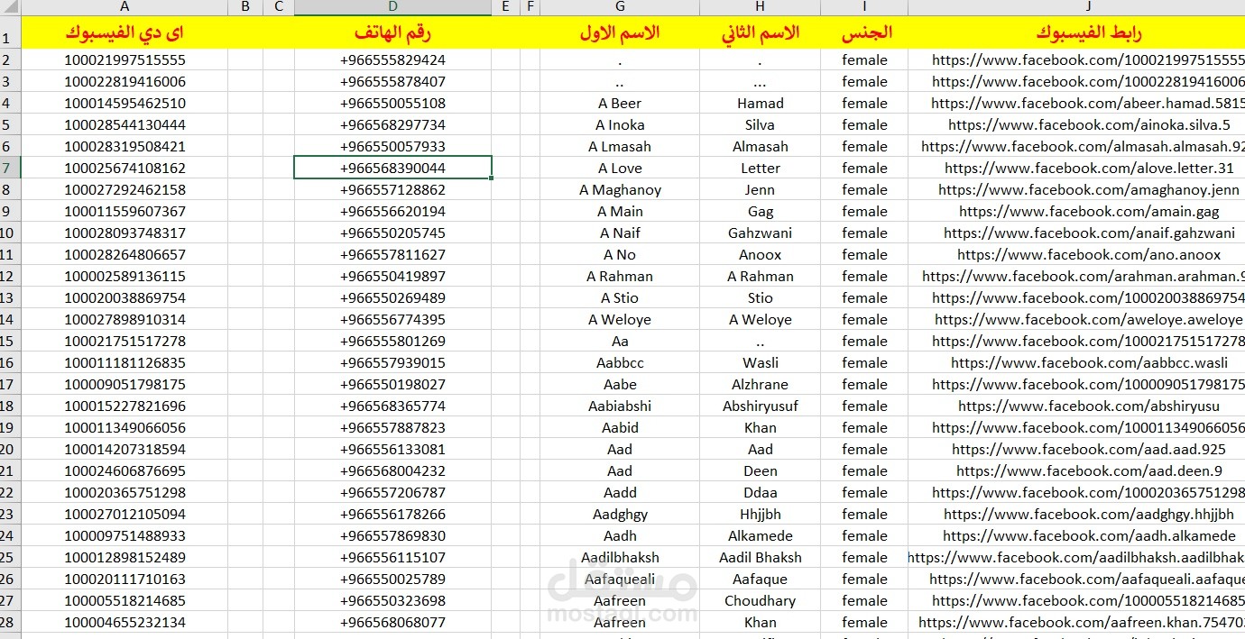 داتا بيانات نساء السعودية 5 مليون اسم