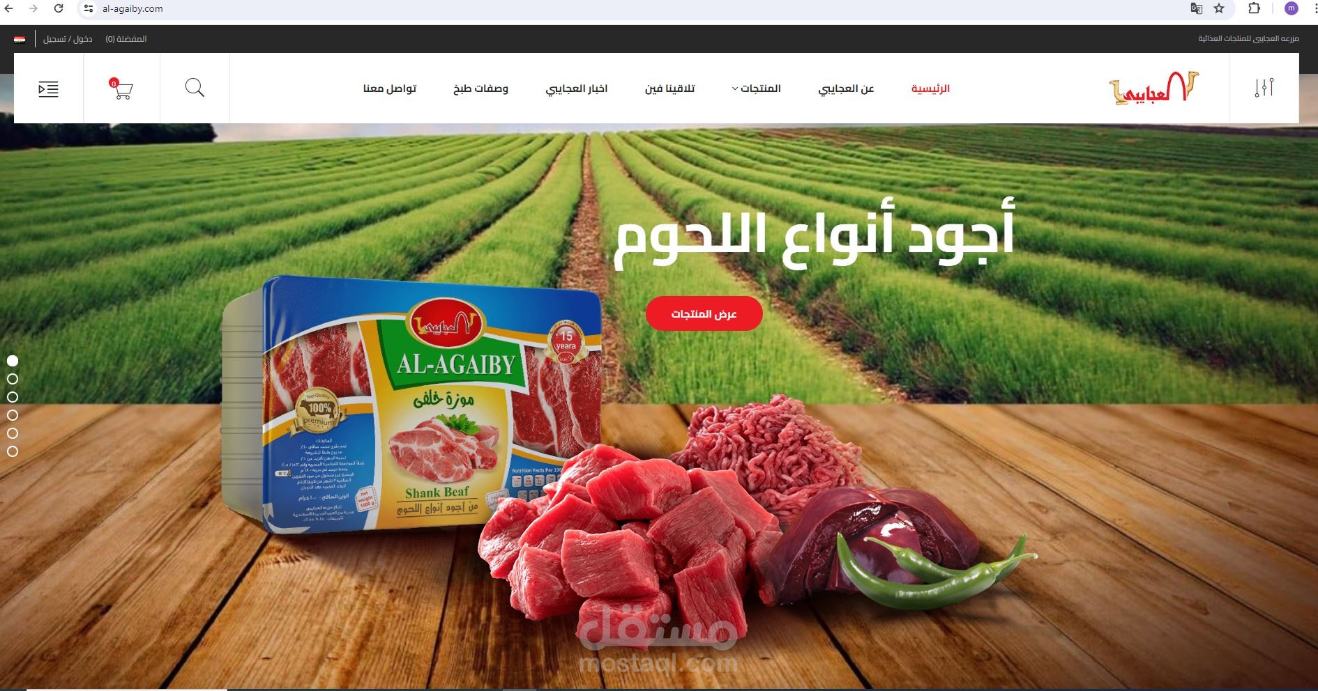 انشاء ويب سايت
