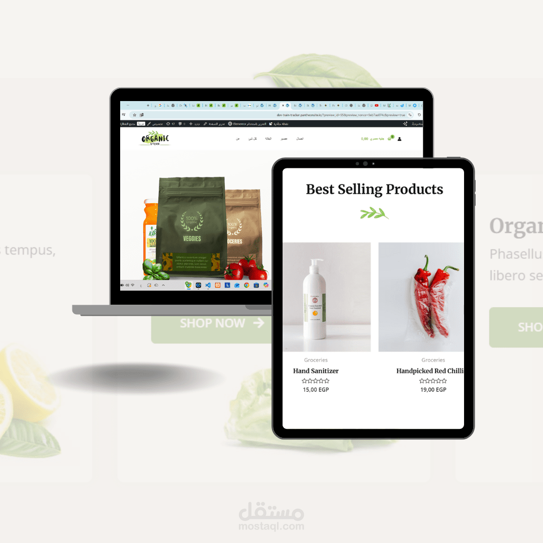 إنشاء متجر إلكتروني لعرض وبيع المنتجات العضوية بشكل احترافي
