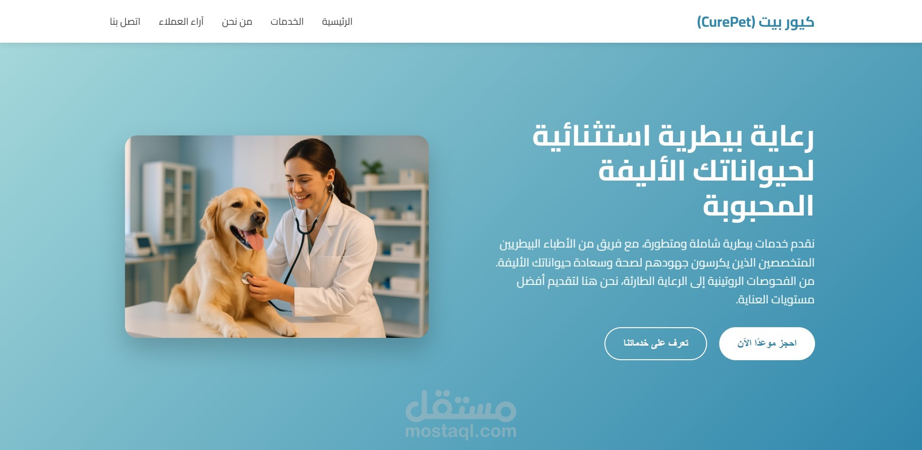 تصميم صفحة هبوط