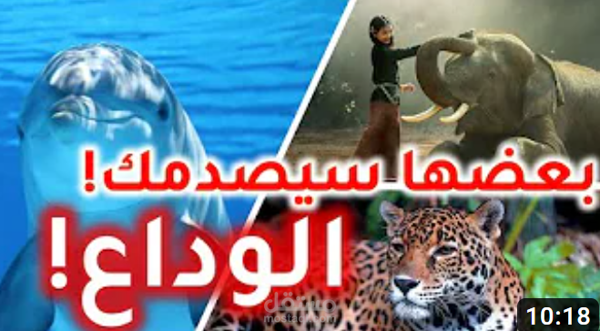 فيديو | حيوانات انقرضت من الأرض و أخرى ستغادر قريبا | بعضها قد يحزنك
