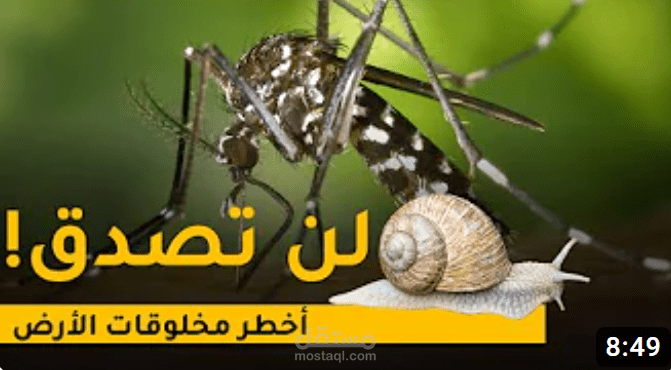 فيديو | أخطر مخلوقات العالم | أكثر الكائنات فتكا على وجه الأرض | الأخير سيصدمك