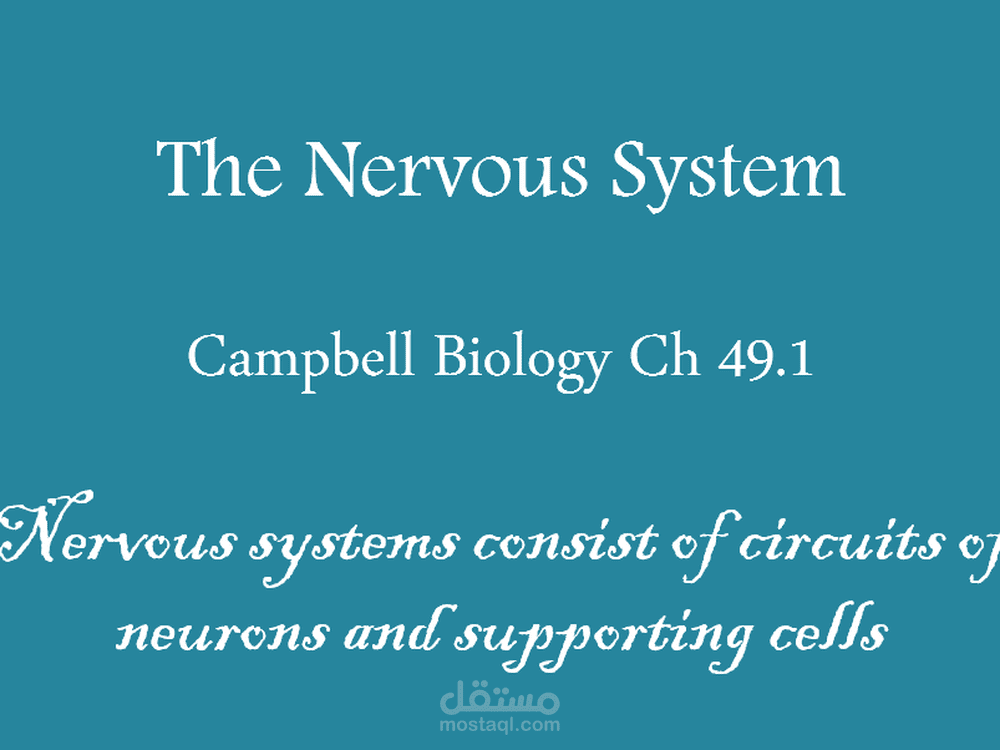 واجب لمادة الأحياء PPT