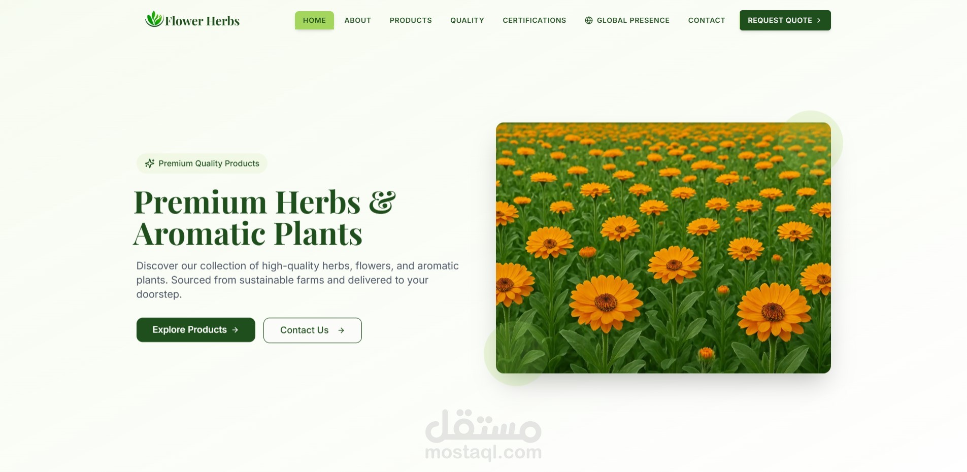 Flower Herbs