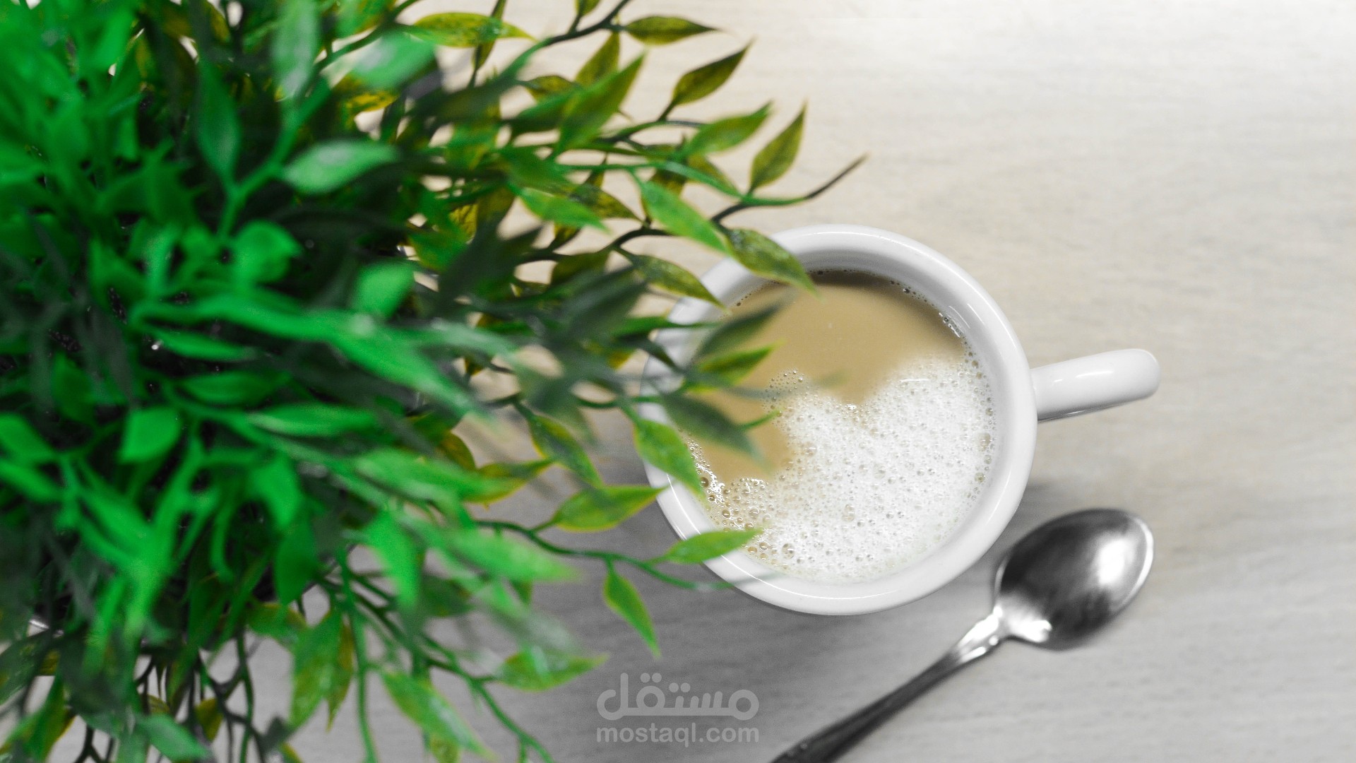 فوئد القهوة