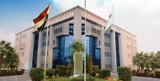 من محمد علي إلى الهيئة العربية للتصنيع.. لماذا تفشل مشروعات التسليح العربي؟