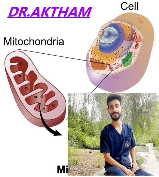 كورس  لمادة ال cell biology