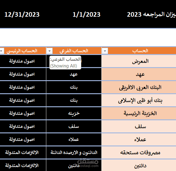 سيستيم محاسبي عن طريق الاكسيل لشركة سيارات